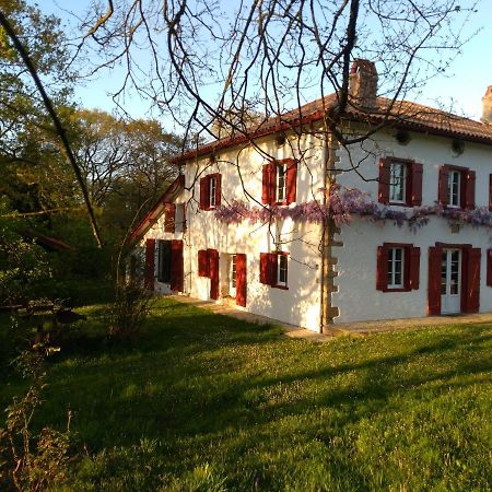 Chambres Maison Labourdasse Saint-Martin-de-Hinx Eksteriør billede