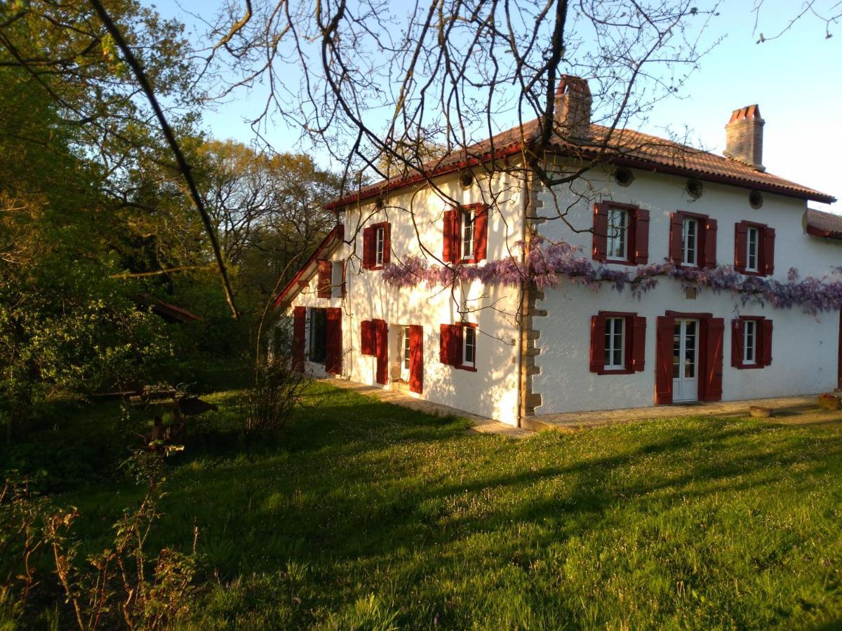 Chambres Maison Labourdasse Saint-Martin-de-Hinx Eksteriør billede